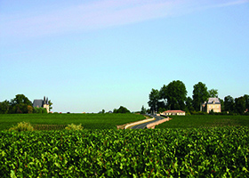 vignobles du médoc